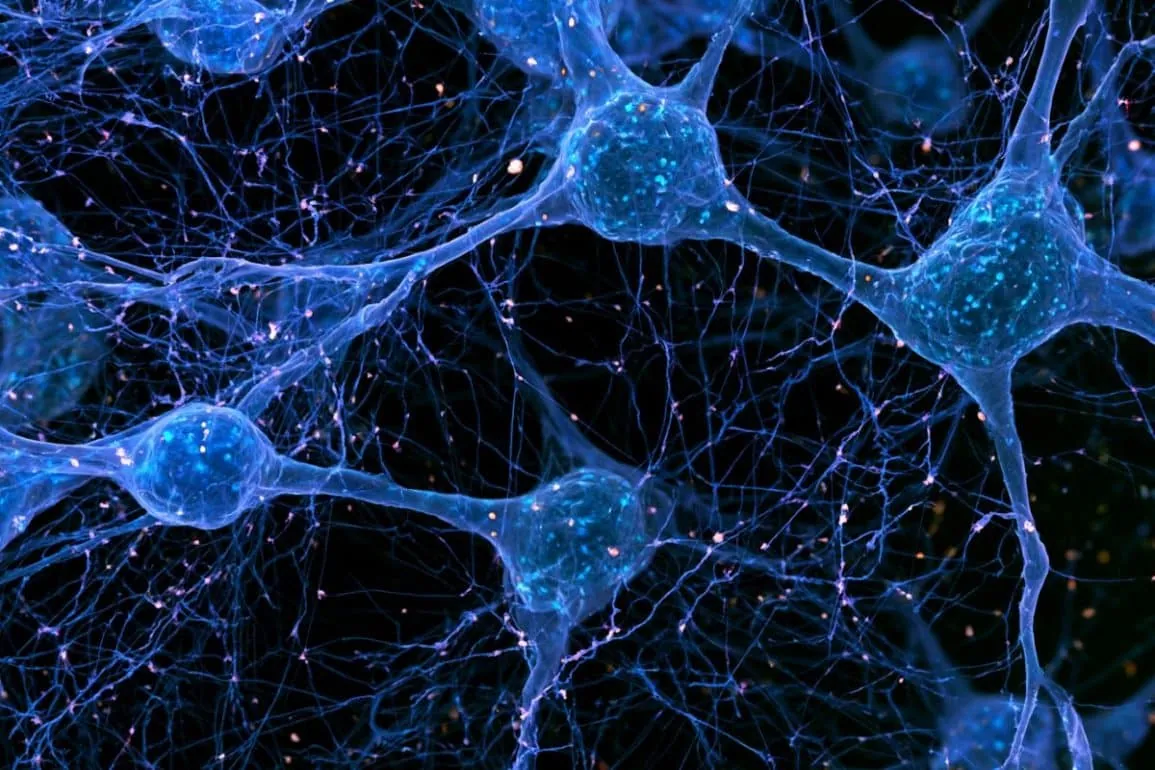 Disrupted Neuronal Microexons Drive Hyperarousal and Insomnia (Neuroscience News)